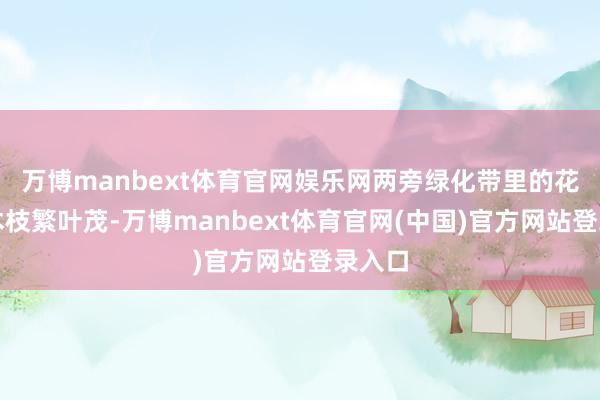 万博manbext体育官网娱乐网两旁绿化带里的花卉树木枝繁叶茂-万博manbext体育官网(中国)官方网站登录入口