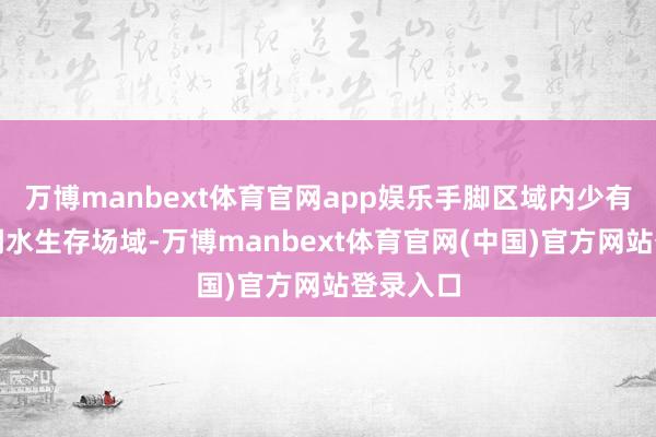 万博manbext体育官网app娱乐手脚区域内少有的超感潮水生存场域-万博manbext体育官网(中国)官方网站登录入口